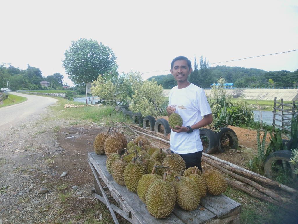 promosi tempat jualan durian